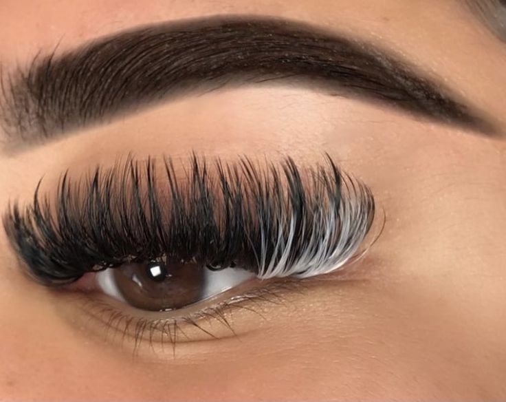 eye-lashes
